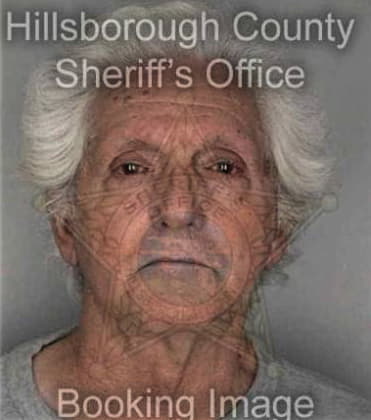Wesley Chesson - Hillsborough County, FL 