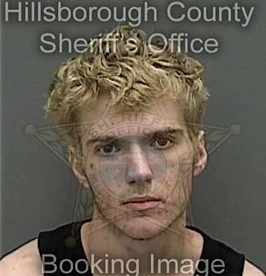 Carlos Dayrivera, - Hillsborough County, FL 