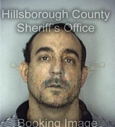 William Lopezmartinez, - Hillsborough County, FL 