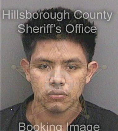 Diego Suarez, - Hillsborough County, FL 