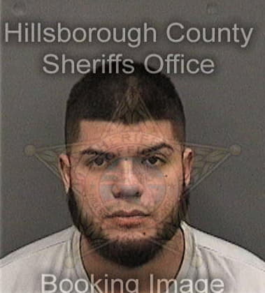 Mitchel Wilson, - Hillsborough County, FL 