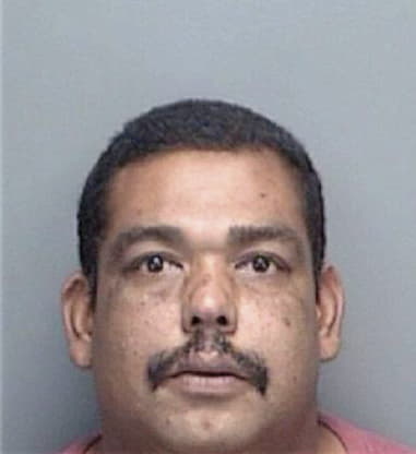 Luis Cevallos-Solorzano, - Pinellas County, FL 