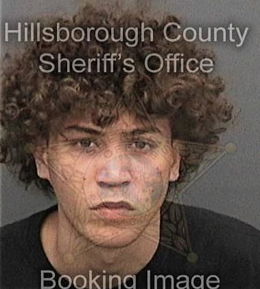 Lazaro Dalmauc-Retana, - Hillsborough County, FL 