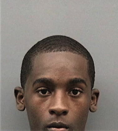 Lawrence Ellison, - Hillsborough County, FL 