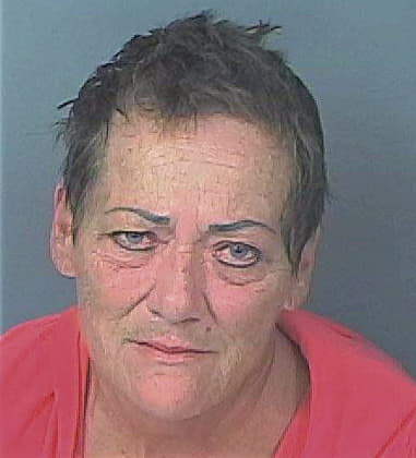 Tina Lee, - Hernando County, FL 