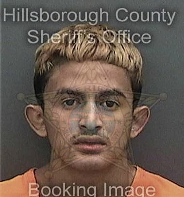 Francisco McGowan - Hillsborough County, FL 