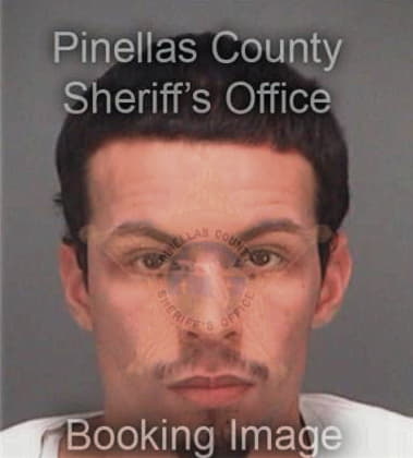 Dennis Oritz, - Pinellas County, FL 