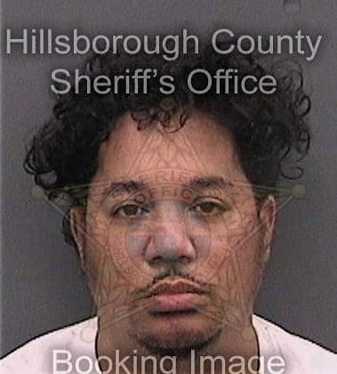 Rizwan Shaikh, - Hillsborough County, FL 