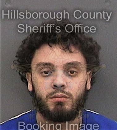 Antonio Swigeart, - Hillsborough County, FL 