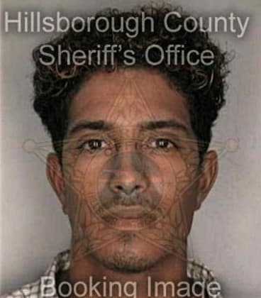 Michael Tagliarini - Hillsborough County, FL 