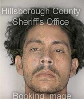 Arturo Arizpe, - Hillsborough County, FL 