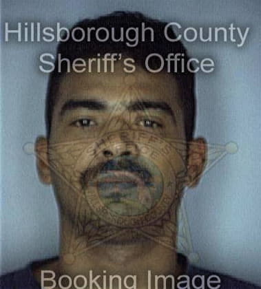 Paul Clark - Hillsborough County, FL 