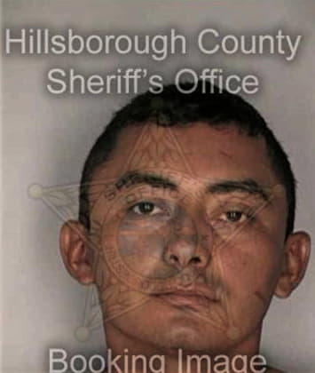 Porfirio Estrada, - Hillsborough County, FL 