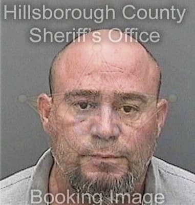 Lynn McCoy - Hillsborough County, FL 