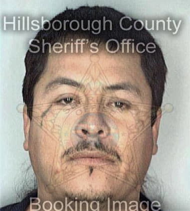 Pedro Ramirez, - Hillsborough County, FL 