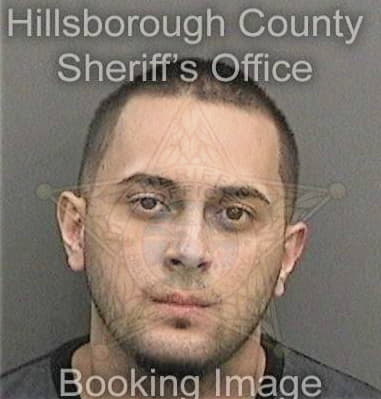 Anthony Roman, - Hillsborough County, FL 