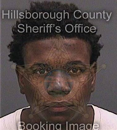 Napolean Simmons, - Hillsborough County, FL 