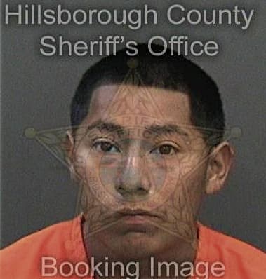 Justin Turner, - Hillsborough County, FL 