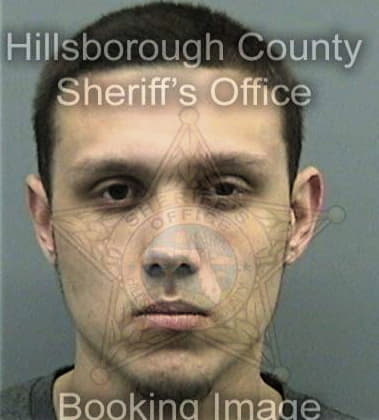 Carlos Vega, - Hillsborough County, FL 