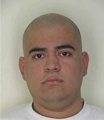 Cesar Cardenas, - Hillsborough County, FL 