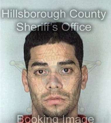 Donald Collier - Hillsborough County, FL 