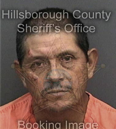 Enrique Cruz, - Hillsborough County, FL 