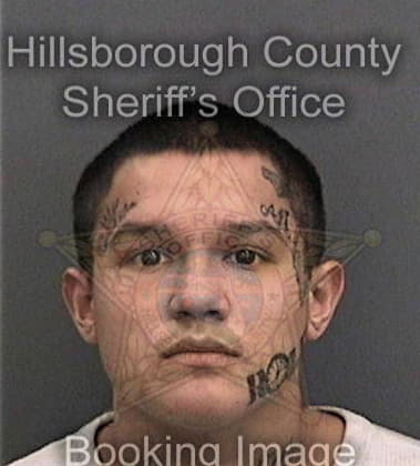 Joshua Fitzgerald, - Hillsborough County, FL 