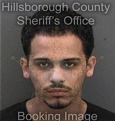 Anthony Godfrey, - Hillsborough County, FL 