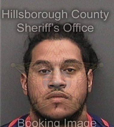 William Lozadavargas, - Hillsborough County, FL 