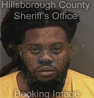 Ahmad McClarin - Hillsborough County, FL 