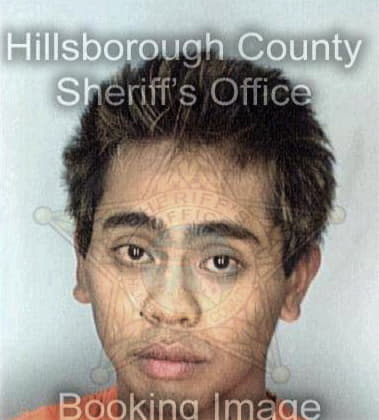 Borivoje Milic - Hillsborough County, FL 