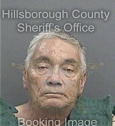 Matthew Odwyer, - Hillsborough County, FL 