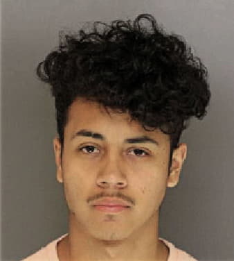 Rene Pinson - Moore County, NC 