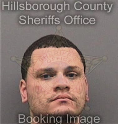 Admir Sasic, - Hillsborough County, FL 