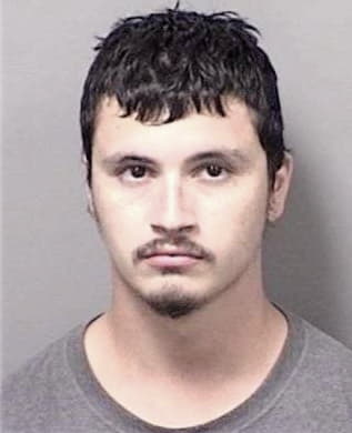 Miguel Velez, - Citrus County, FL 