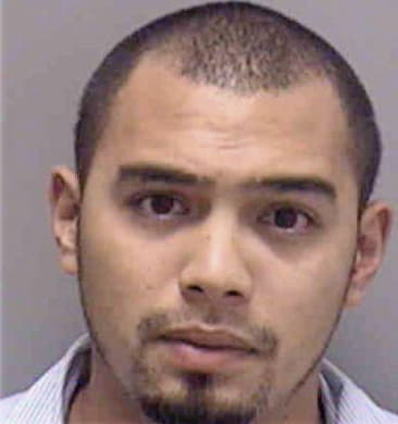 Misael Arbelo-Lopez, - Lee County, FL 