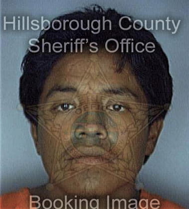 Angel Colina - Hillsborough County, FL 
