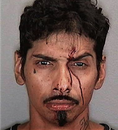 Esteban Contreras-Salas, - Manatee County, FL 