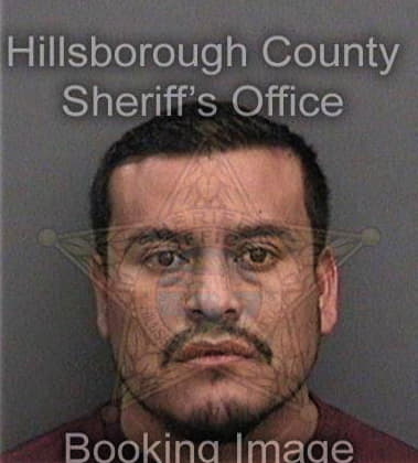 Brian Elmore, - Hillsborough County, FL 