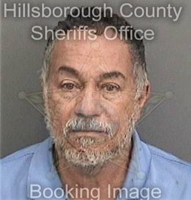 Gregory Fulmer, - Hillsborough County, FL 