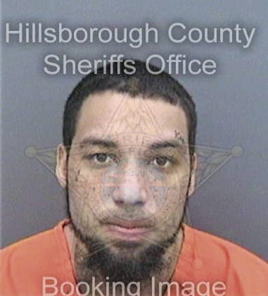 Jermaine Lamar, - Hillsborough County, FL 