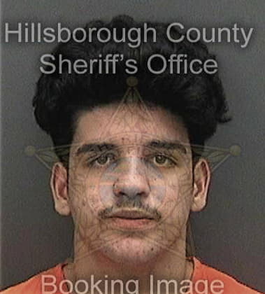 Brandon Litvinchyk, - Hillsborough County, FL 