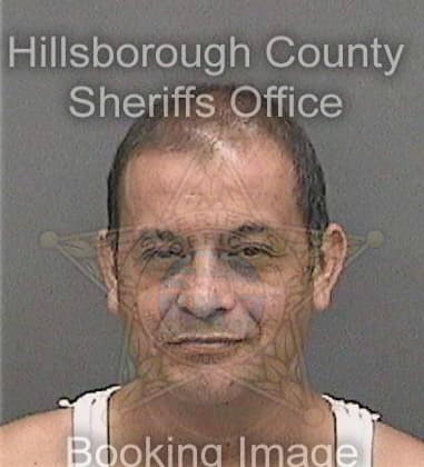 Obed Lopezmolina, - Hillsborough County, FL 