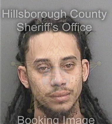 Matthew Mitchell - Hillsborough County, FL 