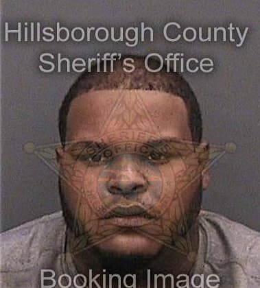 Daniel Nieves-Acevedo, - Hillsborough County, FL 