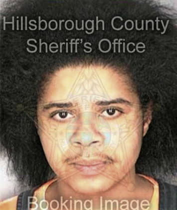 Shontaye Pittman, - Hillsborough County, FL 