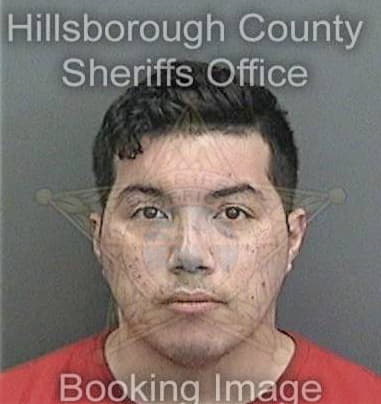 Ryan Wallace, - Hillsborough County, FL 