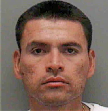 Domingo Bermudez, - Lee County, FL 