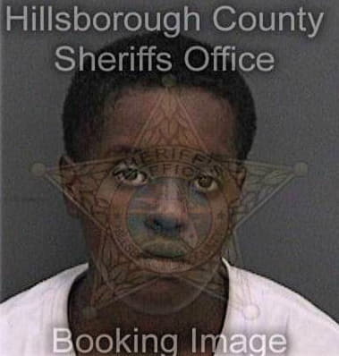 Roshandia Cobb - Hillsborough County, FL 