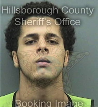 Dimitri James, - Hillsborough County, FL 